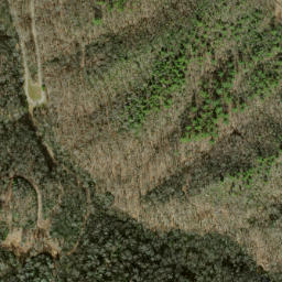 Satellite imagery of Axe Ridge, US