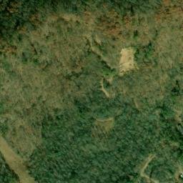 Satellite imagery of Mason Mountain Rhodolite Mine, US