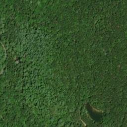 Satellite imagery of Alvin Branch Workings, US