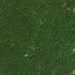 Satellite imagery of Alvin Branch Workings, US