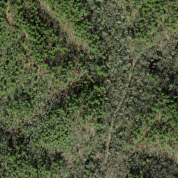 Satellite imagery of Wolf Ridge, US