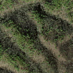 Satellite imagery of Wolf Ridge, US