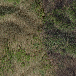 Satellite imagery of Hipps Ridge, US