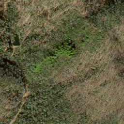 Satellite imagery of Sassafras Ridge, US