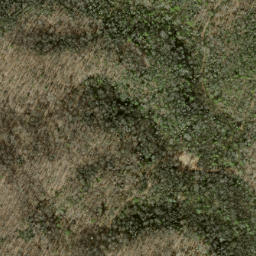 Satellite imagery of Sassafras Ridge, US