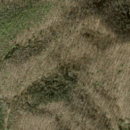 Satellite imagery of Sassafras Ridge, US