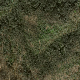 Satellite imagery of Axe Ridge, US