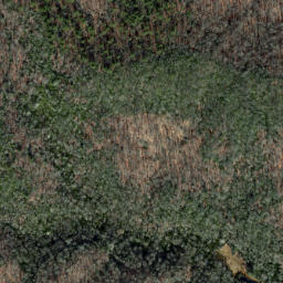 Satellite imagery of Brushy Ridge, US