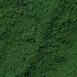 Satellite imagery of Towee Ridge, US