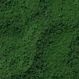 Satellite imagery of Towee Ridge, US