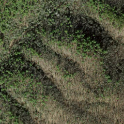 Satellite imagery of Wolf Ridge, US