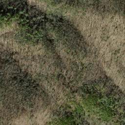 Satellite imagery of Wolf Ridge, US