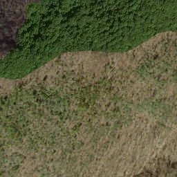 Satellite imagery of Hipps Ridge, US