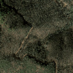 Satellite imagery of Low Ridge, US