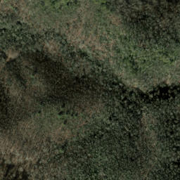 Satellite imagery of Low Ridge, US