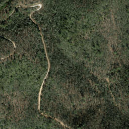 Satellite imagery of The Dismal, US