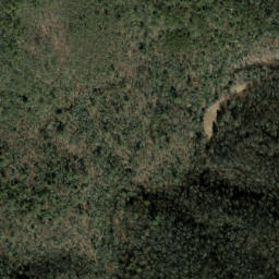 Satellite imagery of The Dismal, US