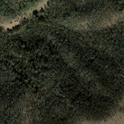 Satellite imagery of The Dismal, US