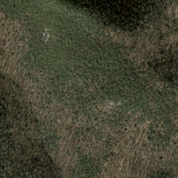 Satellite imagery of Bruce Ridge, US