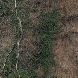 Satellite imagery of Brushy Ridge, US