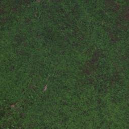 Satellite imagery of survey_point, JP