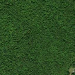 Satellite imagery of Earl Patton Mine, US