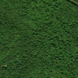 Satellite imagery of Earl Patton Mine, US