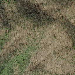 Satellite imagery of Wolf Ridge, US