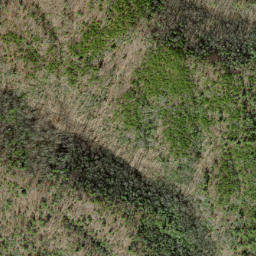 Satellite imagery of Wolf Ridge, US