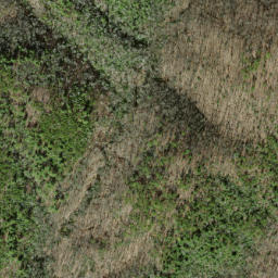 Satellite imagery of Hipps Ridge, US