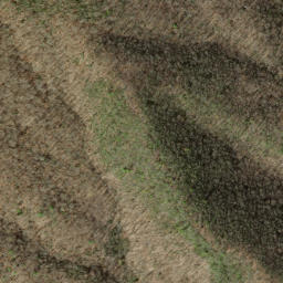 Satellite imagery of Groundhog Ridge, US