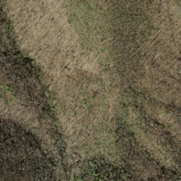 Satellite imagery of Groundhog Ridge, US