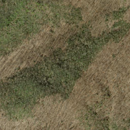 Satellite imagery of Copper Ridge, US