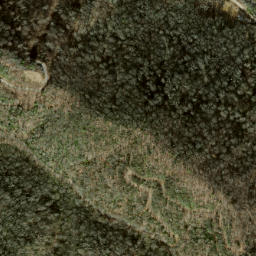 Satellite imagery of Whiteoak Limb Ridge, US