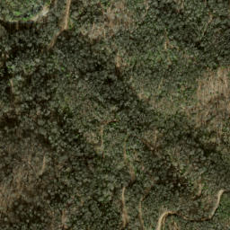 Satellite imagery of Whiteoak Limb Ridge, US