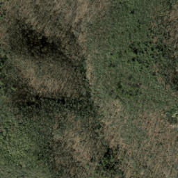 Satellite imagery of Low Ridge, US