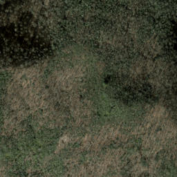 Satellite imagery of Low Ridge, US