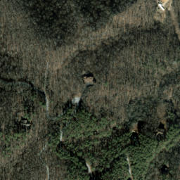 Satellite imagery of Trail Ridge, US
