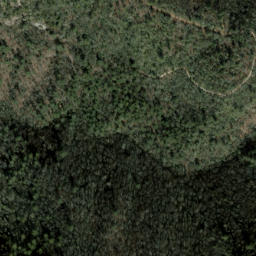 Satellite imagery of The Dismal, US