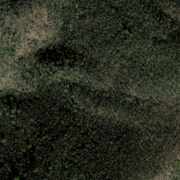 Satellite imagery of The Dismal, US