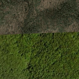 Satellite imagery of Bruce Ridge, US