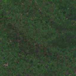 Satellite imagery of survey_point, JP