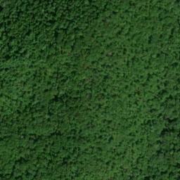 Satellite imagery of Towee Ridge, US