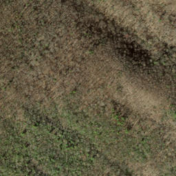 Satellite imagery of Groundhog Ridge, US