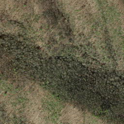 Satellite imagery of Groundhog Ridge, US