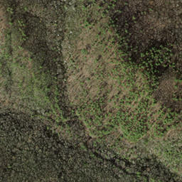 Satellite imagery of Groundhog Ridge, US