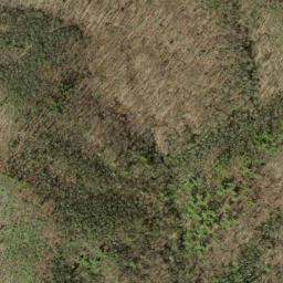 Satellite imagery of Copper Ridge, US