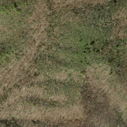 Satellite imagery of Copper Ridge, US