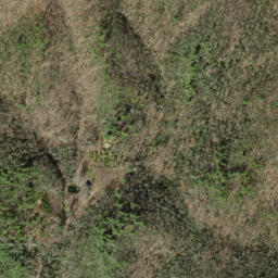 Satellite imagery of Snakeden Ridge, US