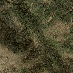 Satellite imagery of Whiteoak Limb Ridge, US